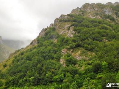 Corazón de Picos de Europa;playa de las catedrales parque del capricho fuentes del algar poncebos u